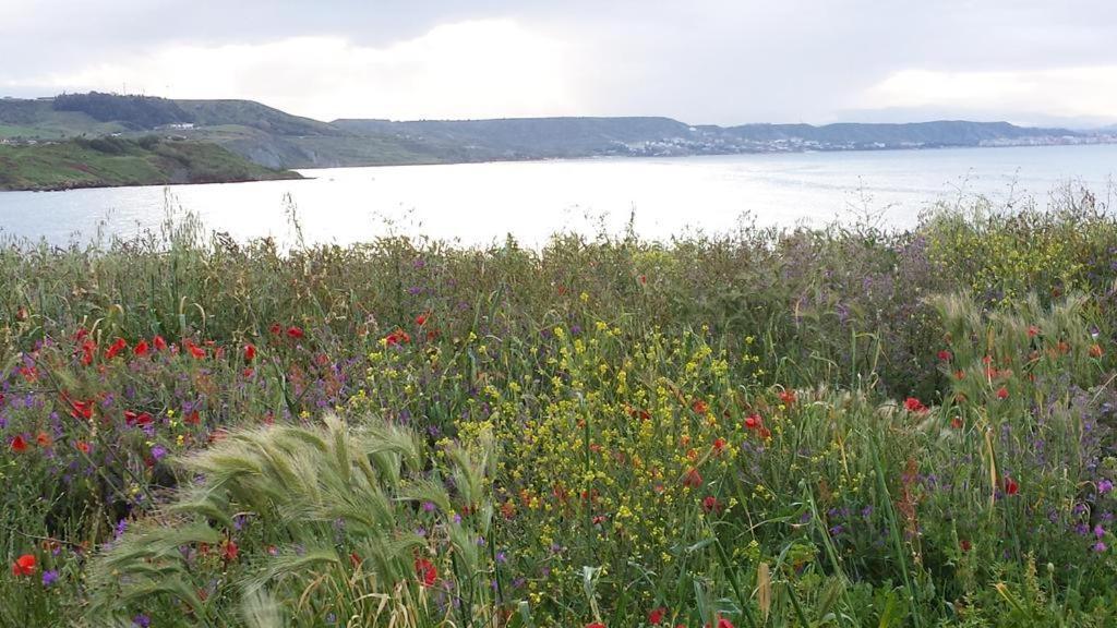 B&B I Viaggi Di Edo Crotone Kültér fotó